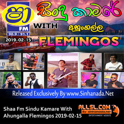 15.DAMITH & CHAMARA & WERALIYADDA SONGS NONSTOP - Sinhanada.net - AHUNGALLA FLEMINGOS.mp3
