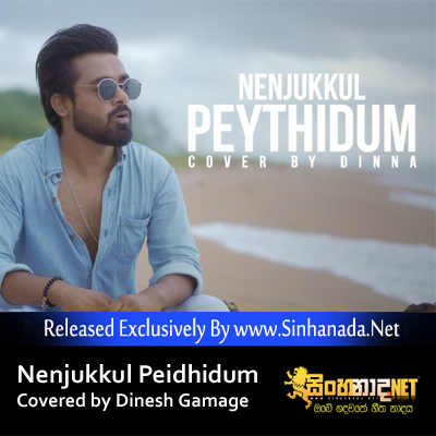 Nenjukkul Peidhidum - covered by Dinesh Gamage.mp3